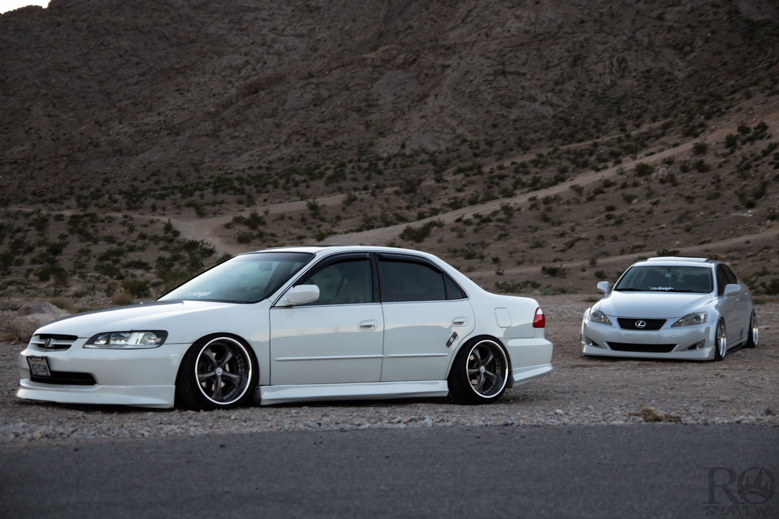 honda accord 2000 slammed